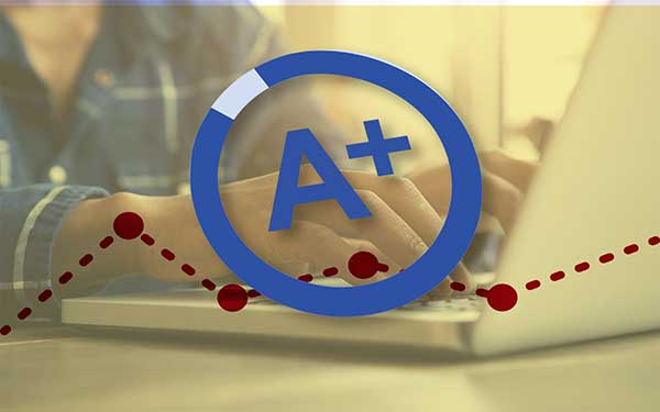 website audit